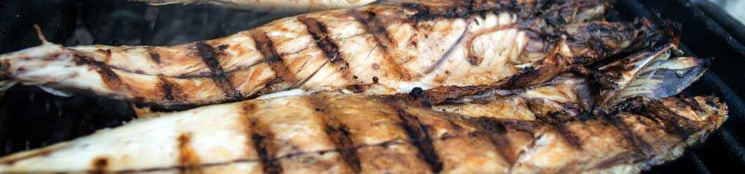 Fischfilet